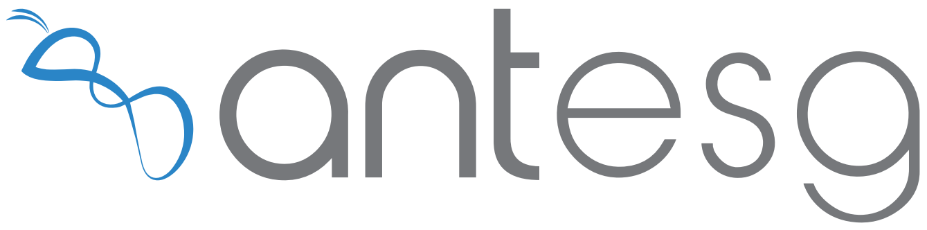 Ant ESG Sürdürülebilirlik Hizmetleri