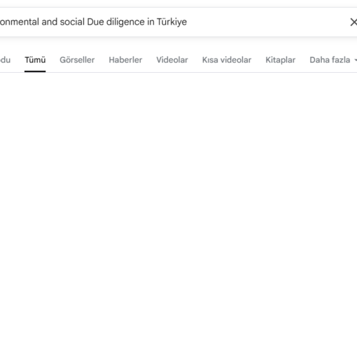 environmental social due diligence Türkiye