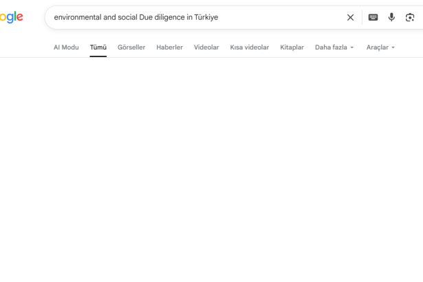environmental social due diligence Türkiye