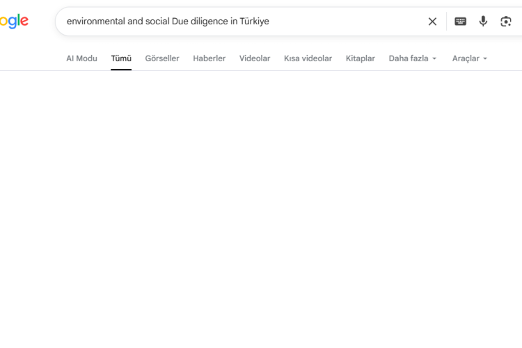 environmental social due diligence Türkiye